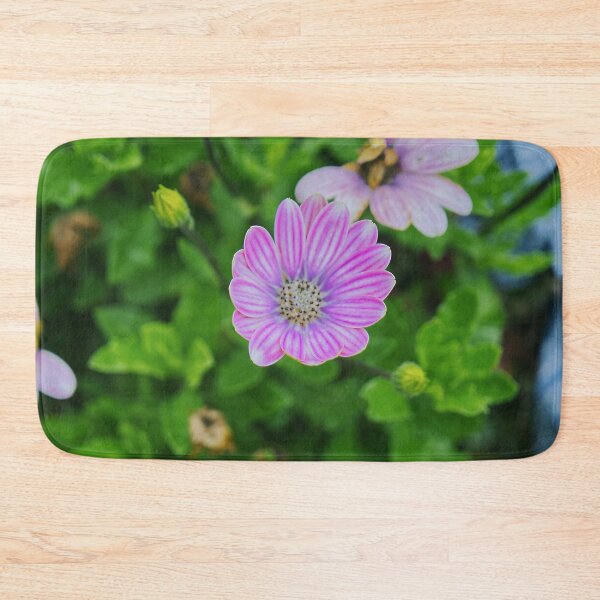 Item preview, Dimorphotheca Eckionis designed and sold by PicsByTony.
