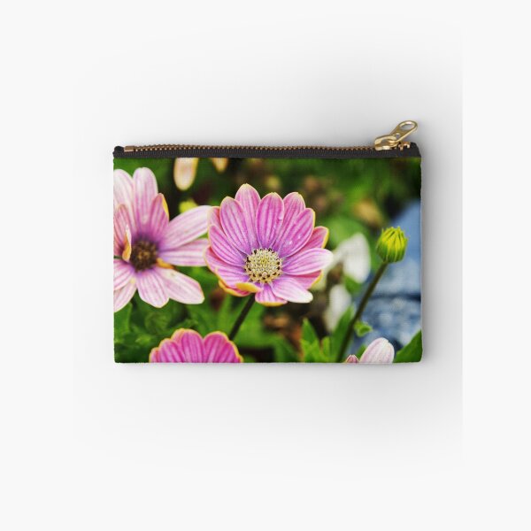 Item preview, Dimorphotheca Eckionis designed and sold by PicsByTony.