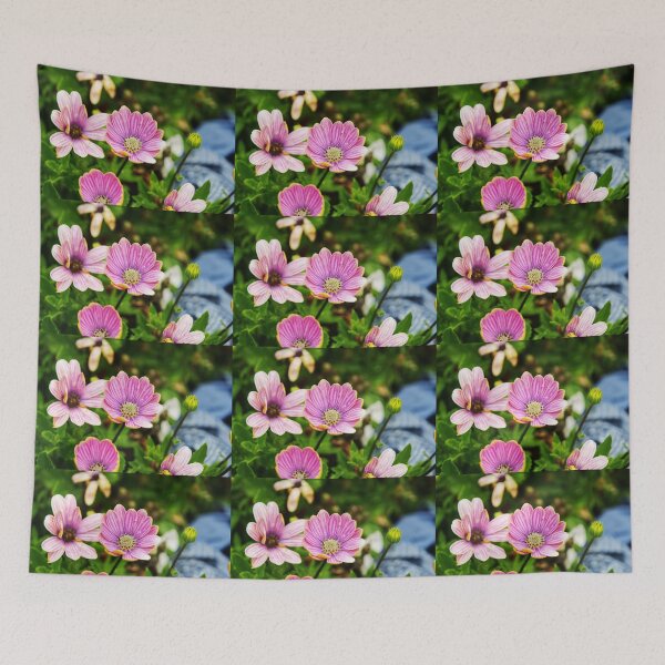 Item preview, Dimorphotheca Eckionis designed and sold by PicsByTony.