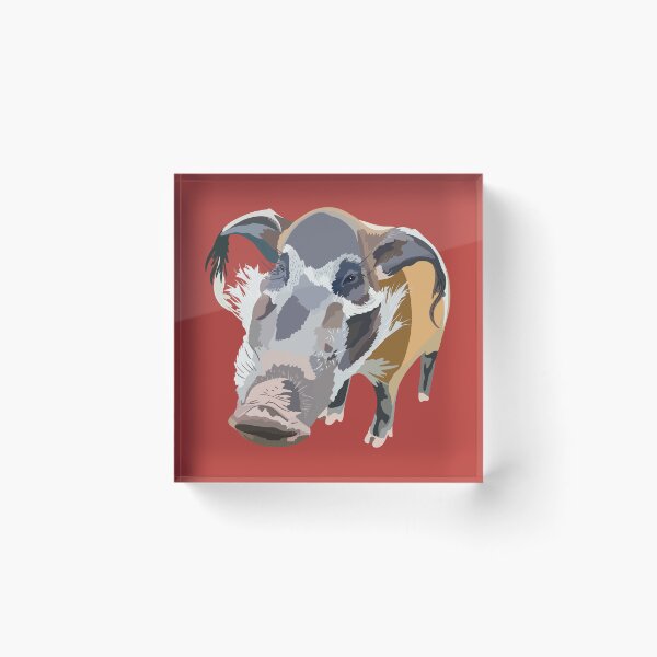 Item preview, R is for Red River Hog, Red River Hog Illustration – Cute Wild Pig Animal Art designed and sold by PrettylittlepastelUk.