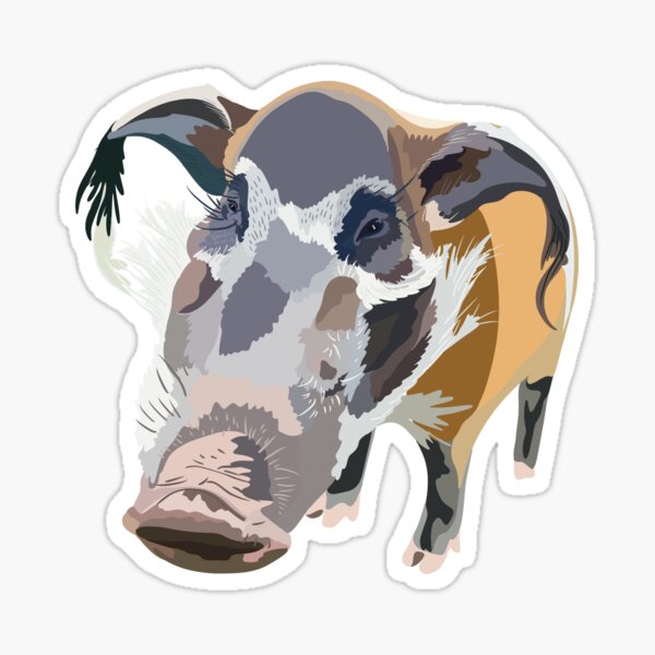 Item preview, R is for Red River Hog, Red River Hog Illustration – Cute Wild Pig Animal Art designed and sold by thezoogirl.