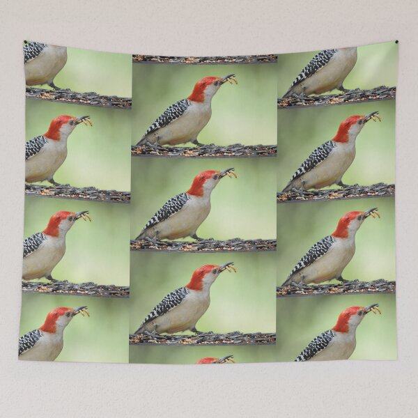 Item preview, Flicker with mealworms designed and sold by Laurie Minor.