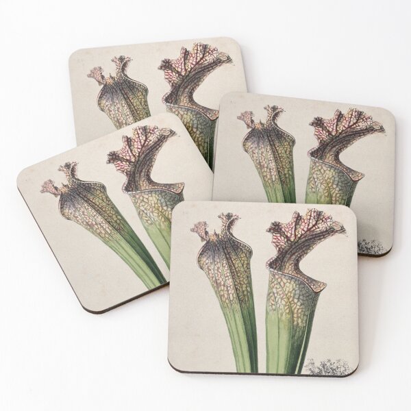 Item preview, Pitcher Plant designed and sold by BlueSpecsStudio.