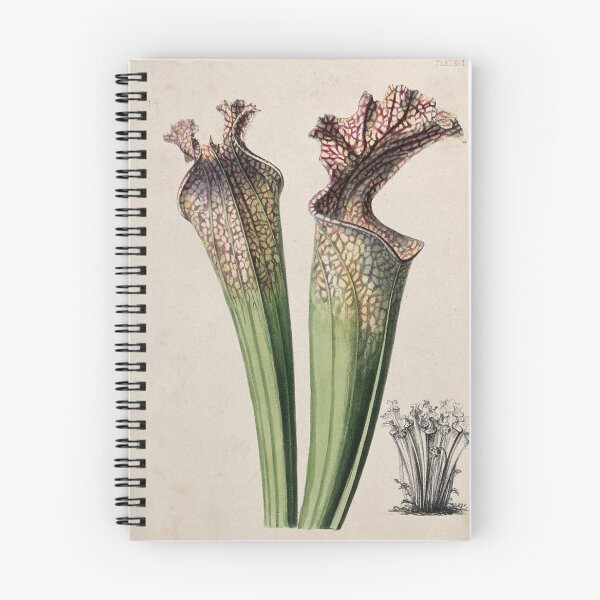 Item preview, Pitcher Plant designed and sold by BlueSpecsStudio.