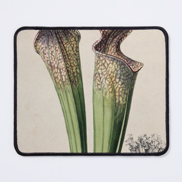 Item preview, Pitcher Plant designed and sold by BlueSpecsStudio.