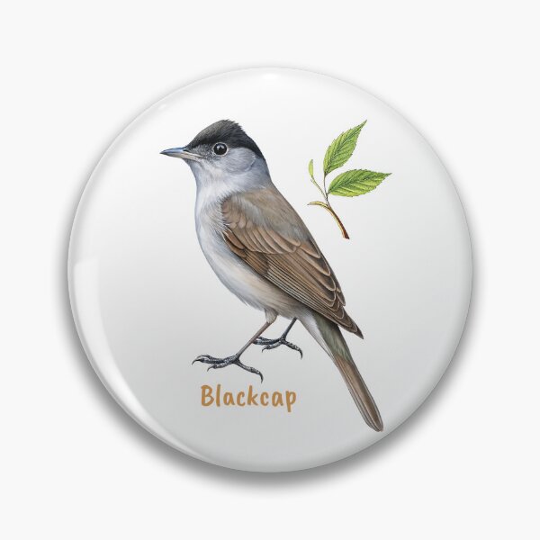 Item preview, Cute Blackcap bird, Garden Bird designed and sold by iclipart.