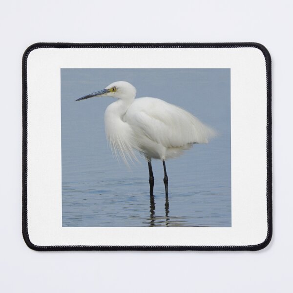 Item preview, A Wonderful Little White Egret designed and sold by Karen Thomson.