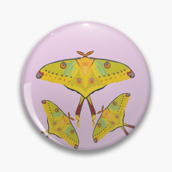 Item preview, G is for Giant Comet Moth, Giant Comet Moth Illustration – Exotic Moth Art for Nature Lovers designed and sold by PrettylittlepastelUk.
