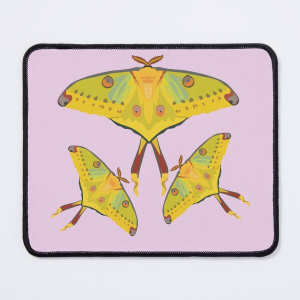 Item preview, G is for Giant Comet Moth, Giant Comet Moth Illustration – Exotic Moth Art for Nature Lovers designed and sold by PrettylittlepastelUk.