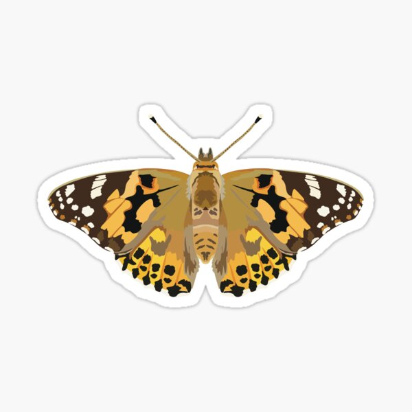 Item preview, P is for Painted Lady Butterfly, Painted Lady Butterfly Illustration – Colourful Butterfly Art for Nature Lovers designed and sold by thezoogirl.