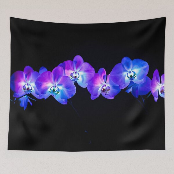 Item preview, SERENITY designed and sold by KUBANOPLUS ART.