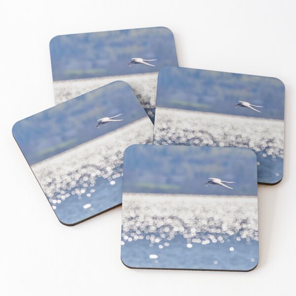 Item preview, The catch, Common Tern designed and sold by Jouko Lehto Photography.