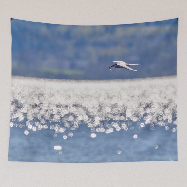 Item preview, The catch, Common Tern designed and sold by Jouko Lehto Photography.