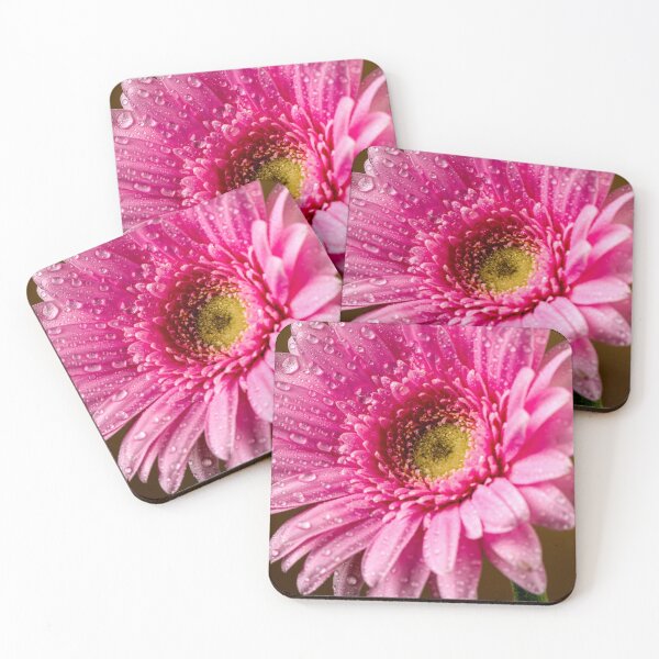 Item preview, Droplets of water on flower petals designed and sold by Martin Fenton.
