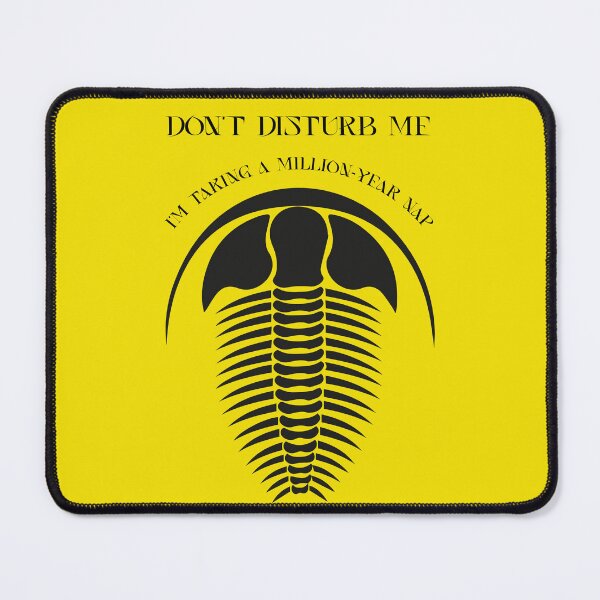 Item preview, Don't disturb me. I'm taking a million-year nap designed and sold by GorinART.