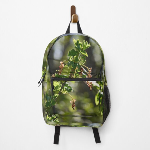 Item preview, Early spring flowers. Redcurrant designed and sold by Jouko Lehto Photography.