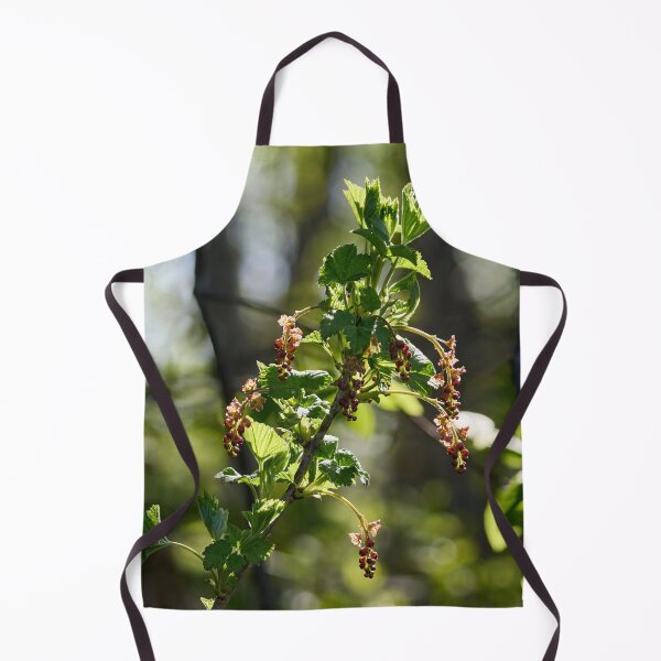 Item preview, Early spring flowers. Redcurrant designed and sold by Jouko Lehto Photography.
