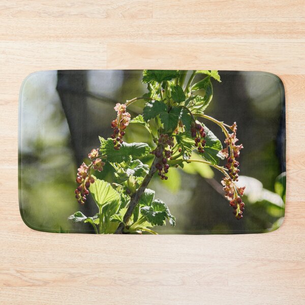 Item preview, Early spring flowers. Redcurrant designed and sold by Jouko Lehto Photography.