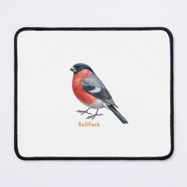 Item preview, Cute Bullfinch bird, Garden Bird designed and sold by iclipart.