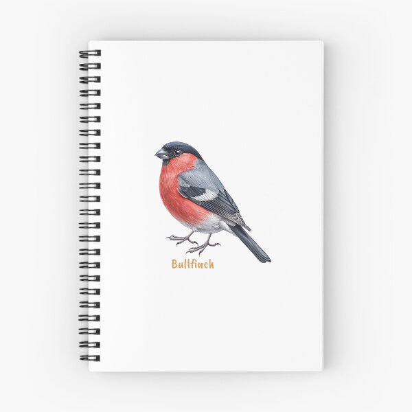 Item preview, Cute Bullfinch bird, Garden Bird designed and sold by iclipart.