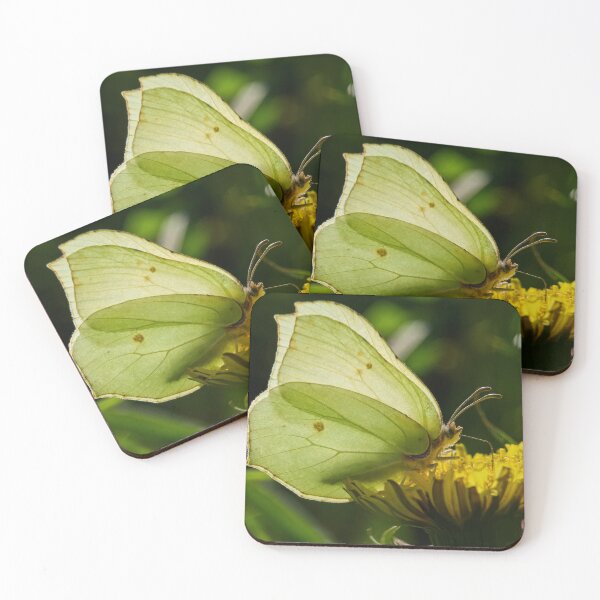 Item preview, Butterfly time. Brimstone designed and sold by Jouko Lehto Photography.