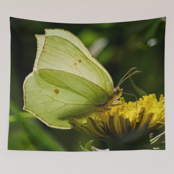 Item preview, Butterfly time. Brimstone designed and sold by Jouko Lehto Photography.