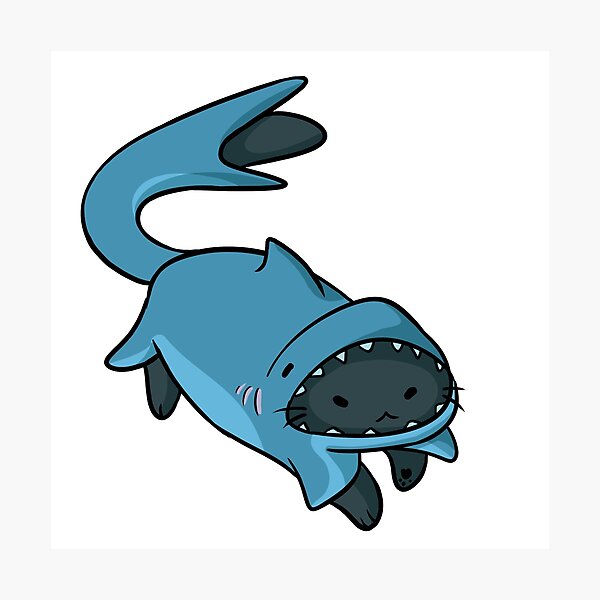 Как выглядит кот акула "Definitely a Shark" Photographic Print for Sale by Kaivris Redbubble