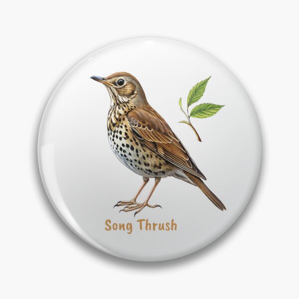 Item preview, Cute Song Thrush bird, Garden Bird designed and sold by iclipart.