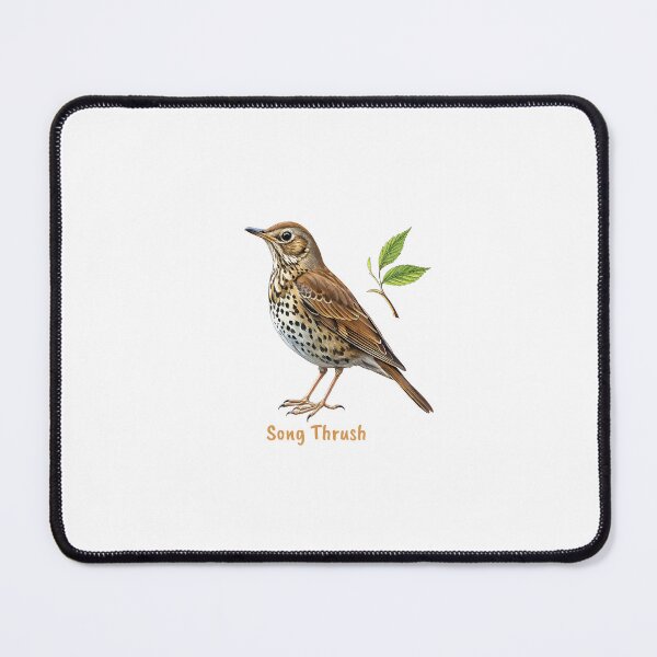 Item preview, Cute Song Thrush bird, Garden Bird designed and sold by iclipart.