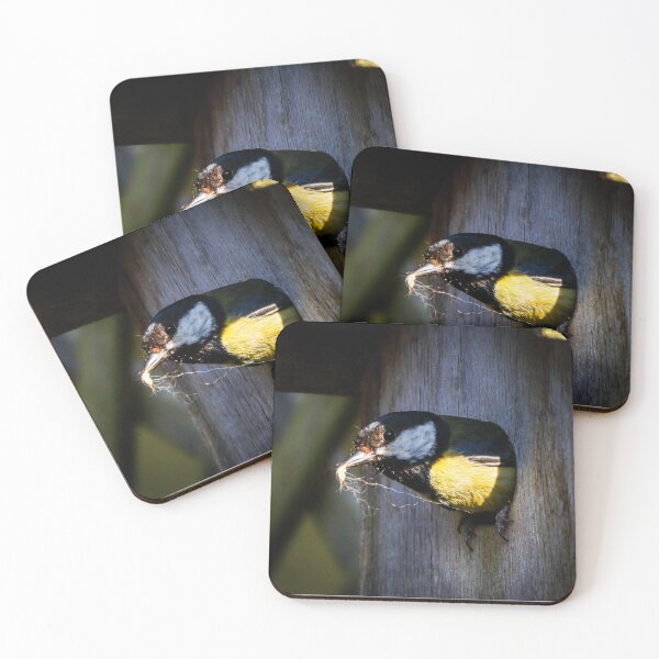 Item preview, Great tit nest building designed and sold by Martin Fenton.