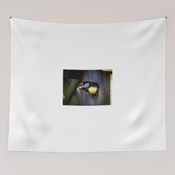 Item preview, Great tit nest building designed and sold by Martin Fenton.