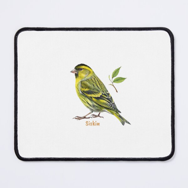 Item preview, Cute Siskin bird, Garden Bird designed and sold by iclipart.
