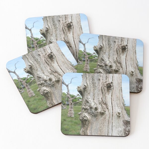 Item preview, Old dying tree trunk close up in detail  designed and sold by RedSteve.