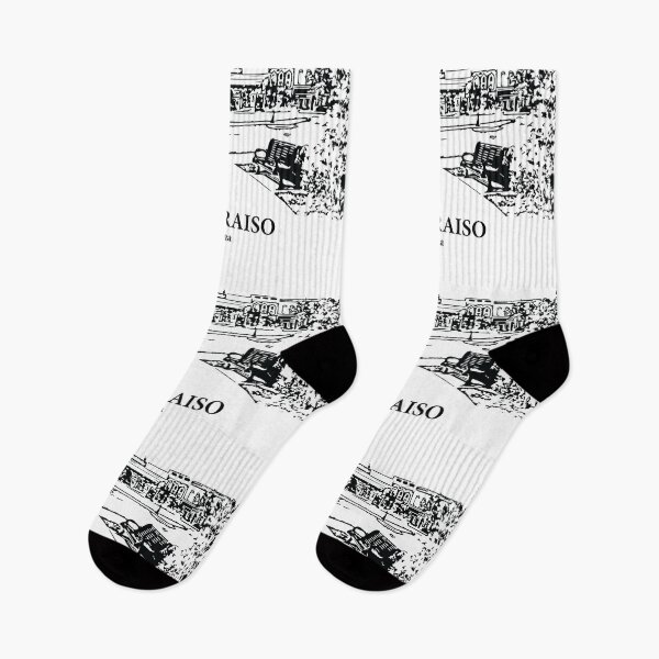 Item preview, Valparaiso - Indiana designed and sold by Lakeric Cityscapes.