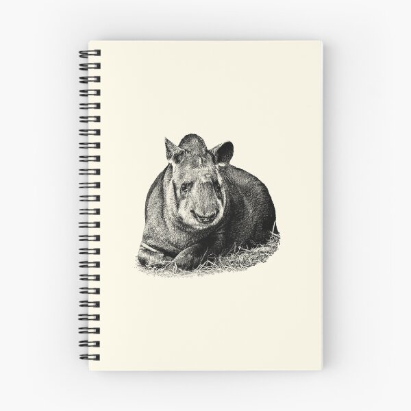 Aperçu de l'œuvre Tapir créée et vendue par Guardi71.