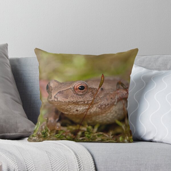 Item preview, WT 15 An October Peeper designed and sold by DigitallyStill.