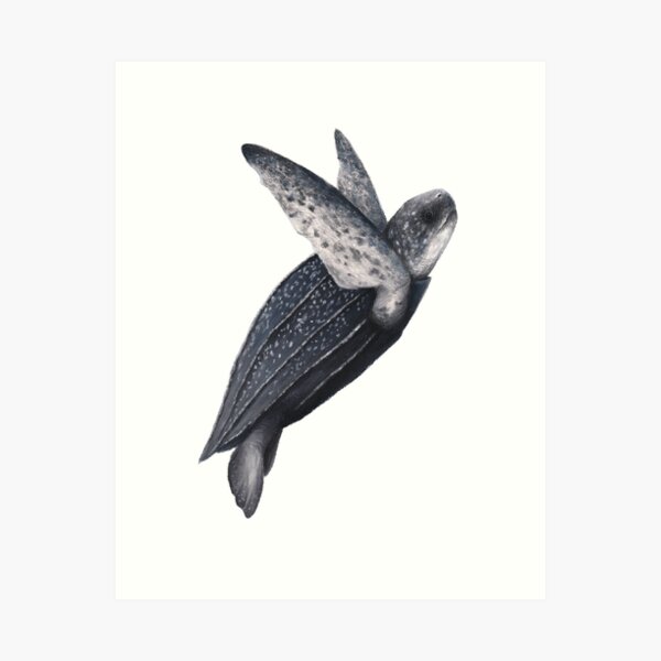 Item preview, All lute in dry pastel designed and sold by Chouetteplanete.