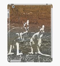 Red Kangaroos Australia iPad Case/Skin