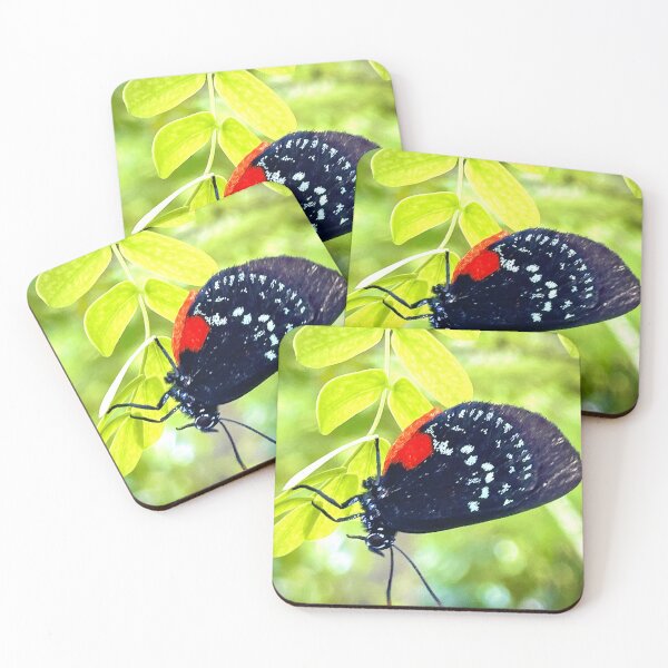 Item preview, Miami Butterfly Garden designed and sold by tnlisa.