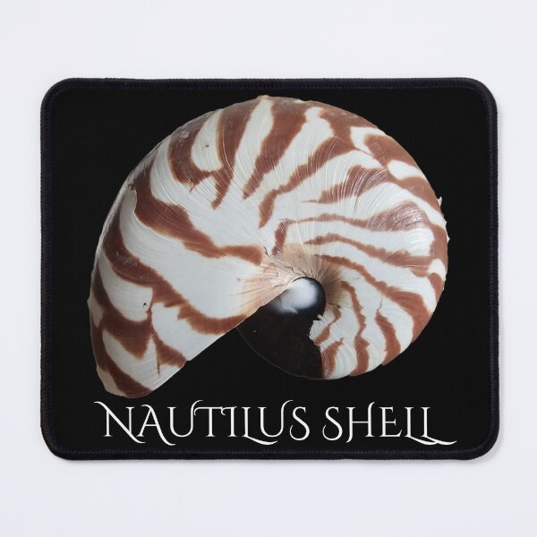 Item preview, Striped Nautilus Shell  designed and sold by Linklandiya.