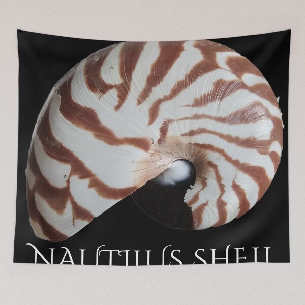 Item preview, Striped Nautilus Shell  designed and sold by Linklandiya.