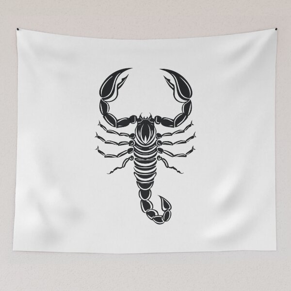 Item preview, Aggressive Dangerous black and white Scorpion, Predatory animal in a danger pose, scorpion with its tail raised, showcasing its stinger designed and sold by Danler.
