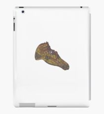Vinilo o funda para iPad Spinosaurus