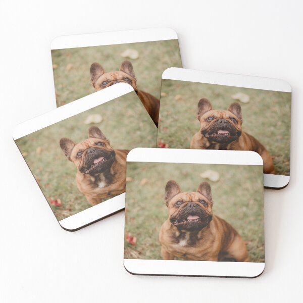 Item preview, Frenchie boy designed and sold by photography5431.