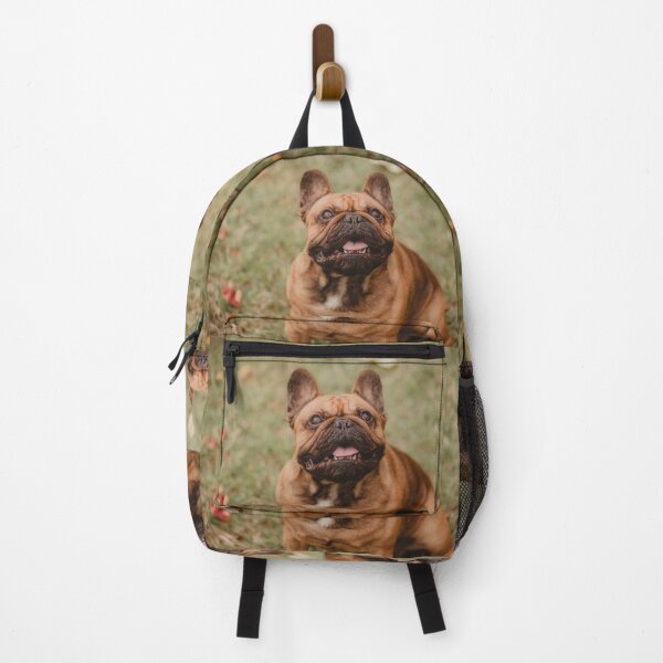 Item preview, Frenchie boy designed and sold by photography5431.