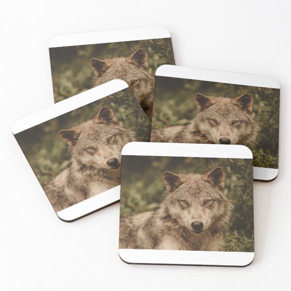 Item preview, Portrait of a wolf designed and sold by photography5431.