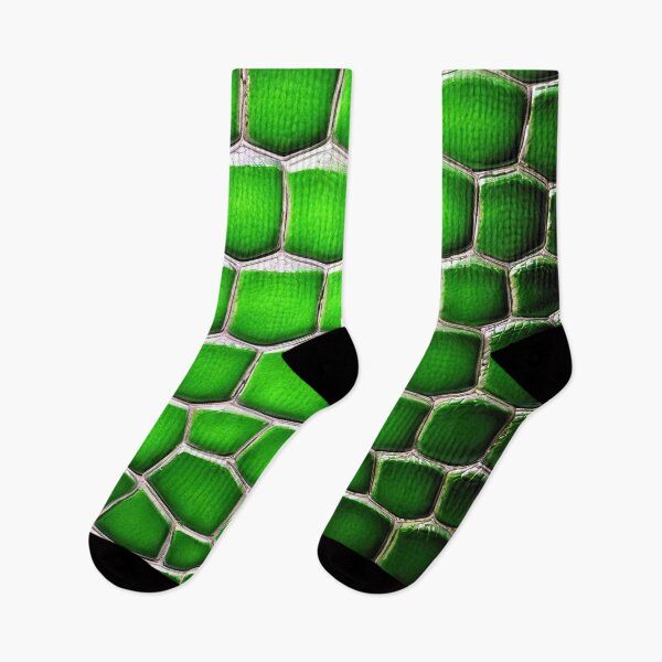 Item preview, Realistic Crocodile Skin Texture designed and sold by CTM ArtStudio.