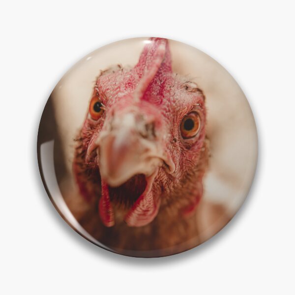 Item preview, What are you looking at? designed and sold by photography5431.