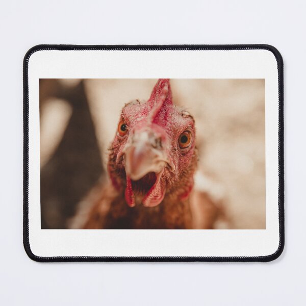 Item preview, What are you looking at? designed and sold by photography5431.