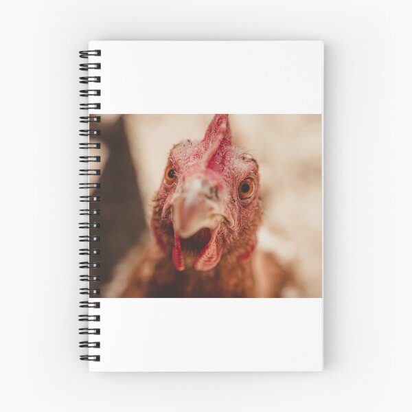 Item preview, What are you looking at? designed and sold by photography5431.